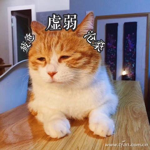 微信圖片_20170614153937
