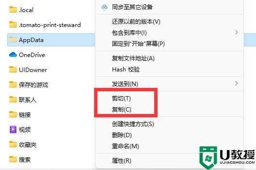 appdata文件太大了可以刪除或移動嗎